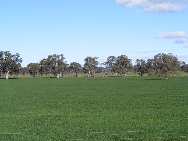 Lifestyle -275 River Road, Benalla VIC 3672