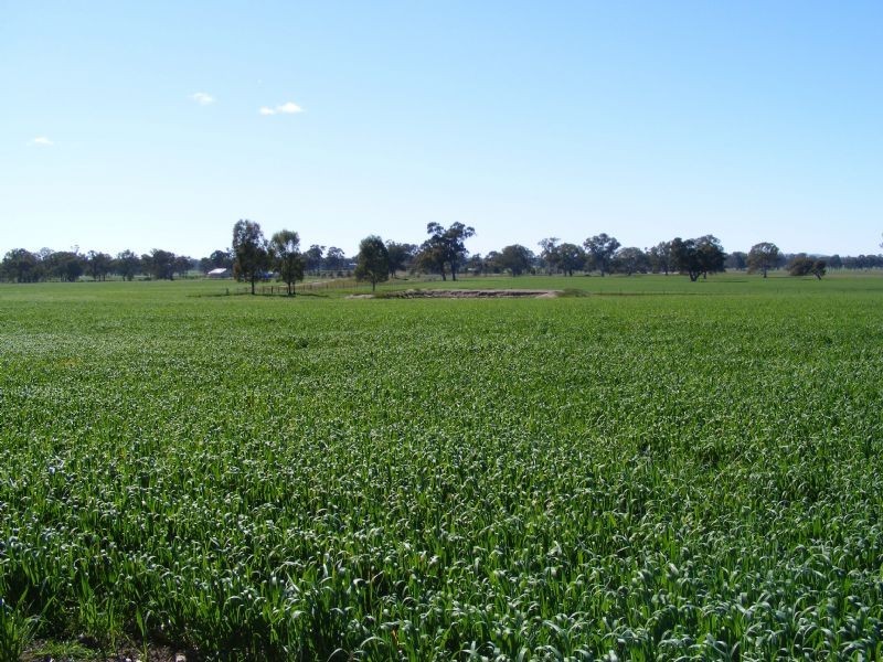 Lifestyle -275 River Road, Benalla VIC 3672