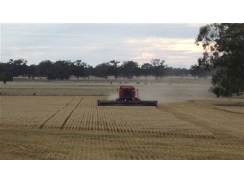 Lifestyle -275 River Road, Benalla VIC 3672