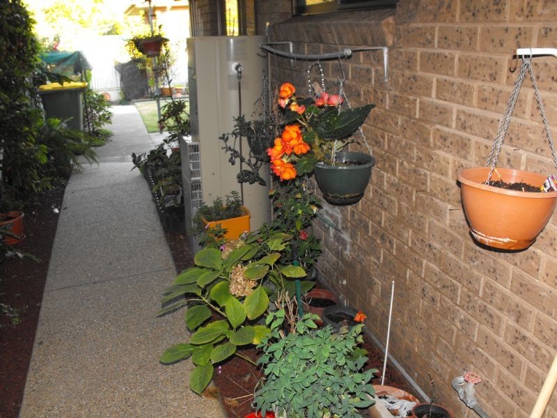 Unit-2/20 Hicks Road, Mulwala NSW 2647