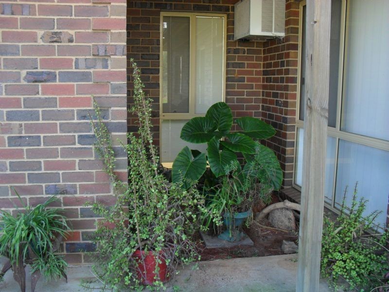 31 Graham Avenue, Bundalong VIC 3730