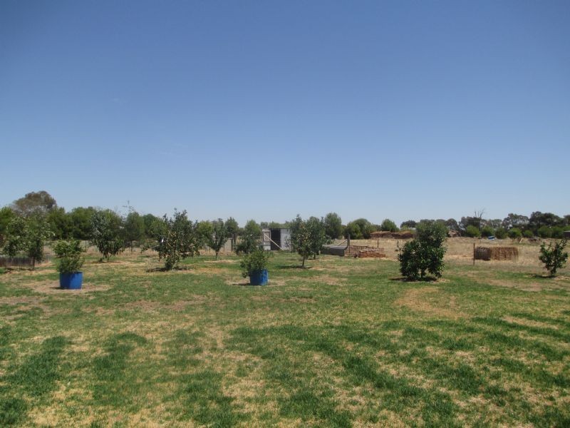 61 Pineview Drive, Yarrawonga VIC 3730