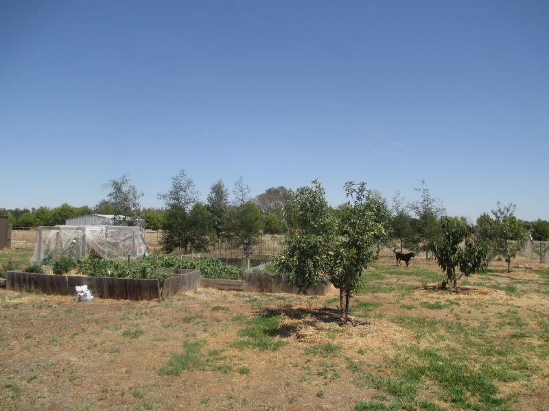 61 Pineview Drive, Yarrawonga VIC 3730