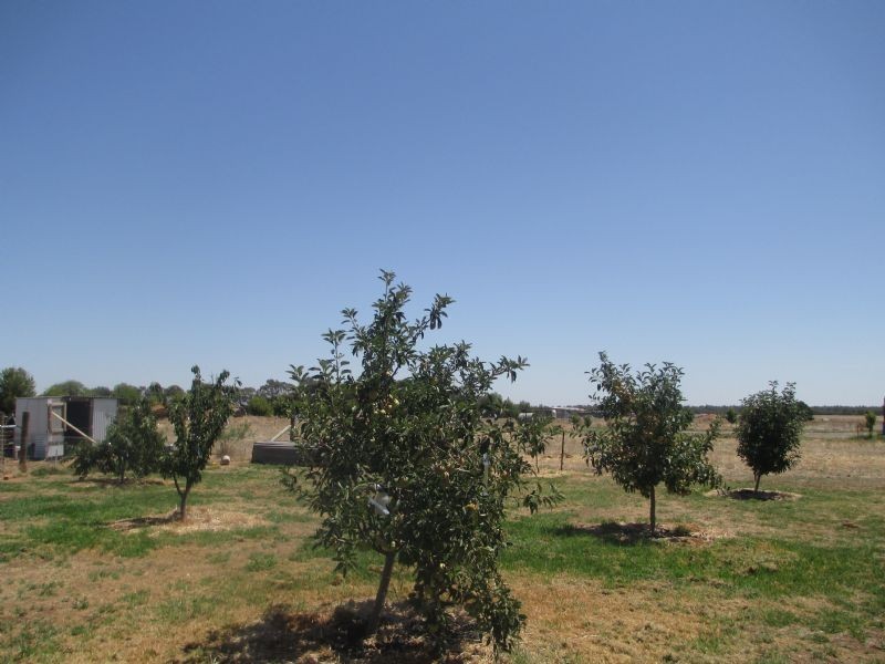 61 Pineview Drive, Yarrawonga VIC 3730