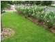 175 Belmore Street, Yarrawonga VIC 3730