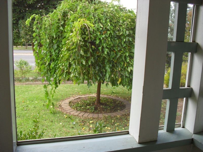 177 Belmore Street, Yarrawonga VIC 3730