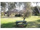 54 Wanani Road, Mulwala NSW 2647