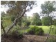 49 Wanani Road, Mulwala NSW 2647