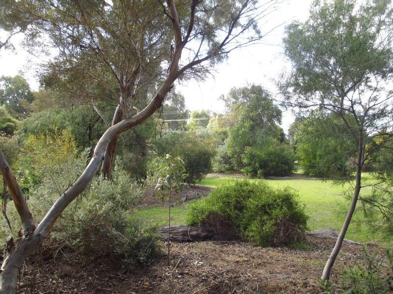 49 Wanani Road, Mulwala NSW 2647