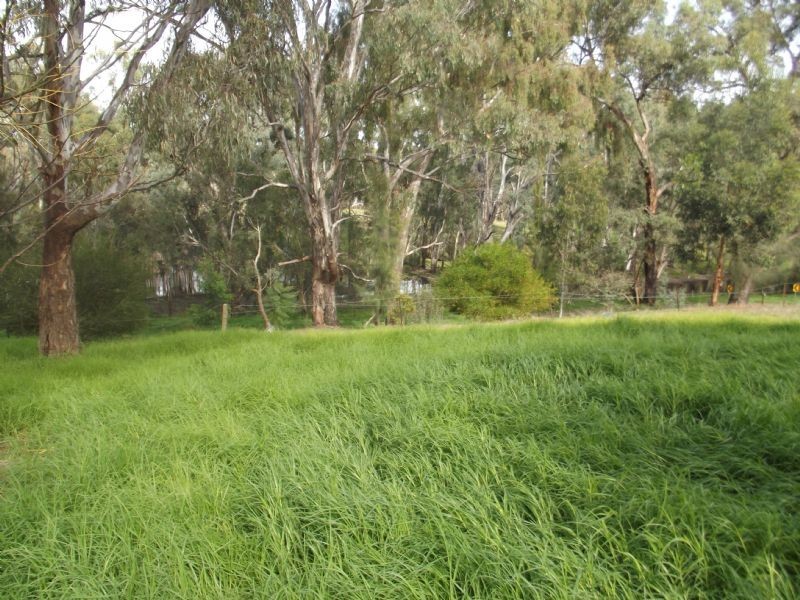 77 Binda Road, Mulwala NSW 2647