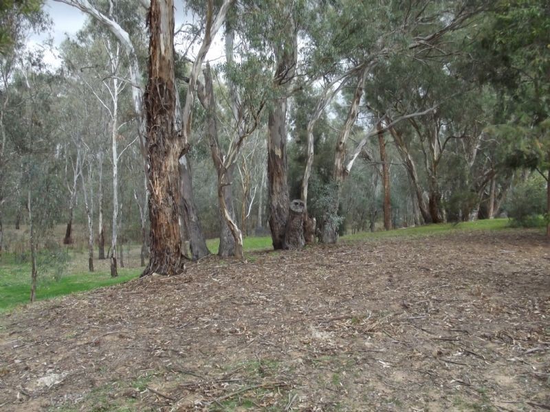 48B Wanani Road, Mulwala NSW 2647