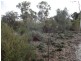 48B Wanani Road, Mulwala NSW 2647