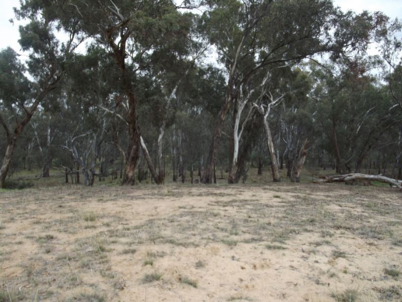 Vacant Land – 48a Wanani Road, Mulwala NSW 2647