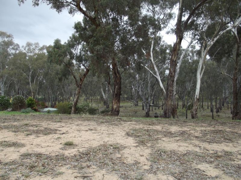 Vacant Land – 48a Wanani Road, Mulwala NSW 2647