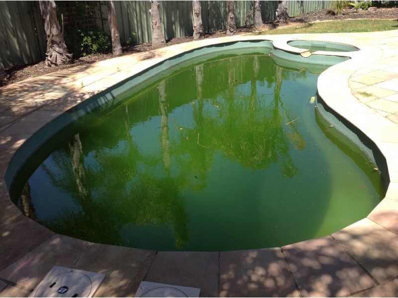 2/12 Henderson Street, Yarrawonga VIC 3730