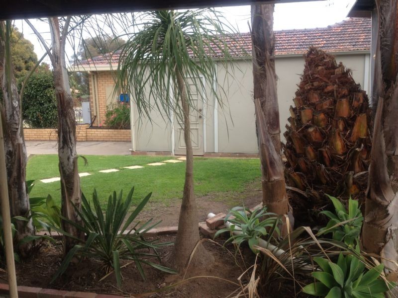 29 ELLY, Yarrawonga VIC 3730