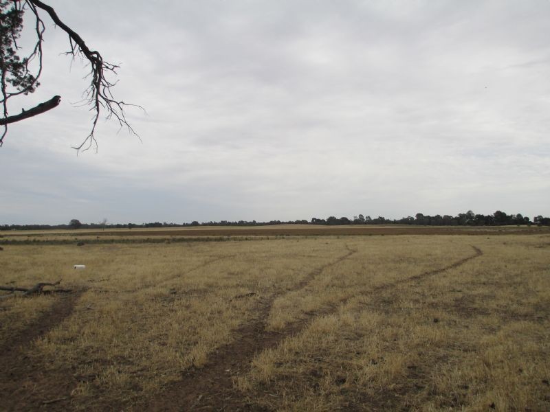 Vacant Land – Lot 1139 Tocumwal-Barooga Rd, Tocumwal NSW 2714