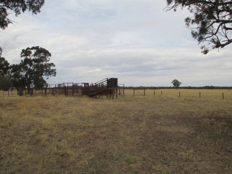 Vacant Land – Lot 1139 Tocumwal-Barooga Rd, Tocumwal NSW 2714