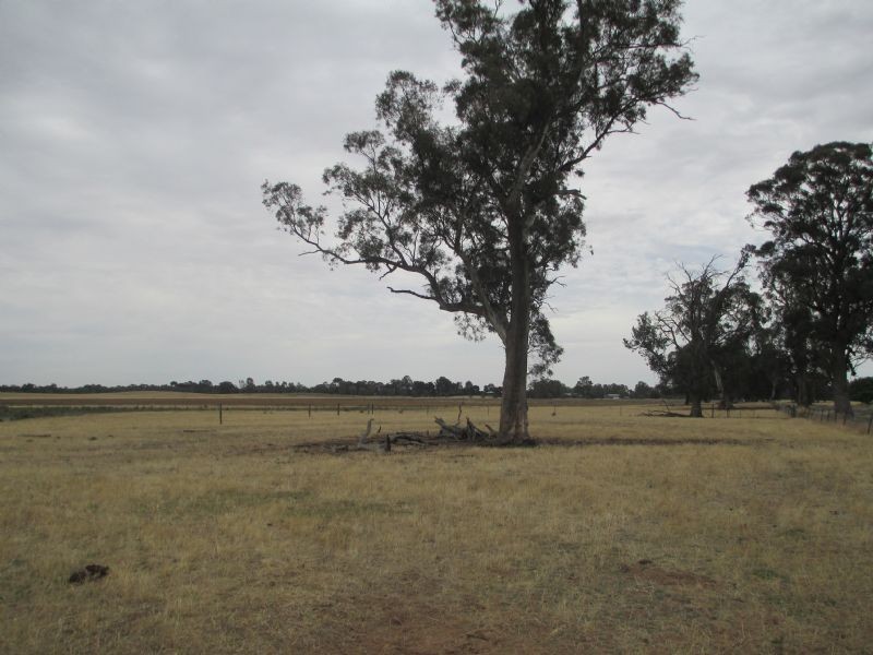 Vacant Land – Lot 1139 Tocumwal-Barooga Rd, Tocumwal NSW 2714