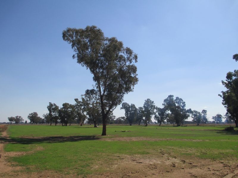 WOODLANDS Woodlands, Mulwala NSW 2647