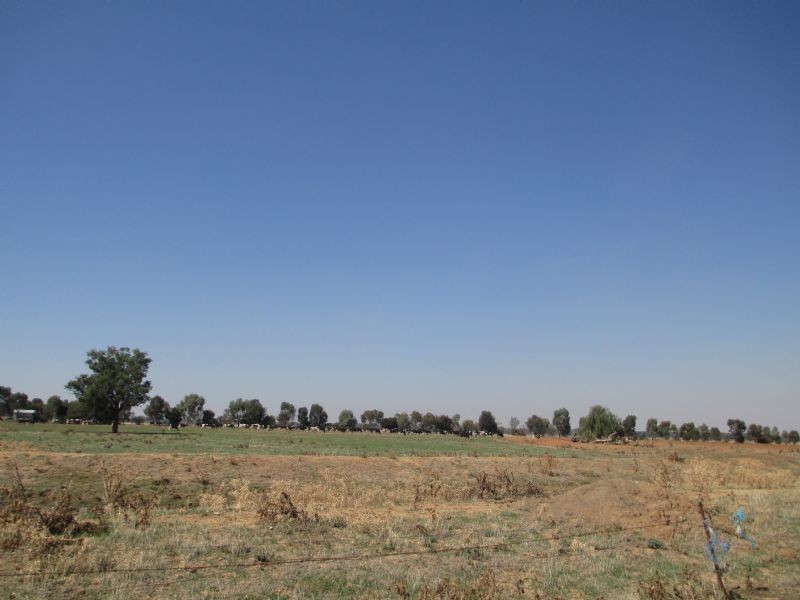 WOODLANDS Woodlands, Mulwala NSW 2647