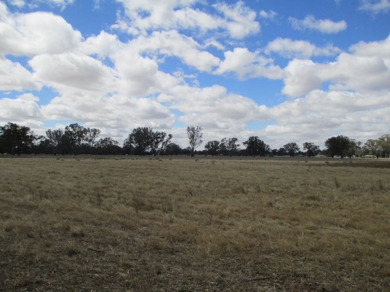 Vacant Land – Newell Hwy Tocumwal Newell Hwy, Tocumwal NSW 2714