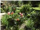 ***** Address available on request, Yarrawonga VIC 3730