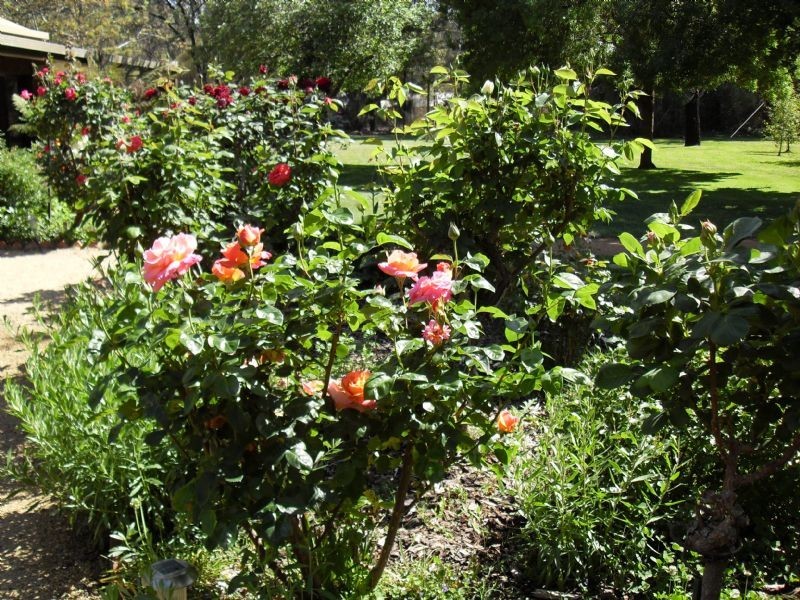 ***** Address available on request, Yarrawonga VIC 3730