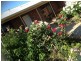 5768 Benalla / Yarrawonga Rd, Yarrawonga VIC 3730