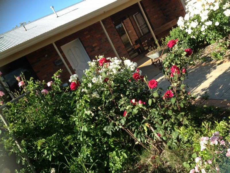 5768 Benalla / Yarrawonga Rd, Yarrawonga VIC 3730