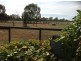 22 Reedys Road Burramine, Yarrawonga VIC 3730