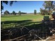 427 Barooga Road, Mulwala NSW 2647