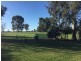 427 Barooga Road, Mulwala NSW 2647