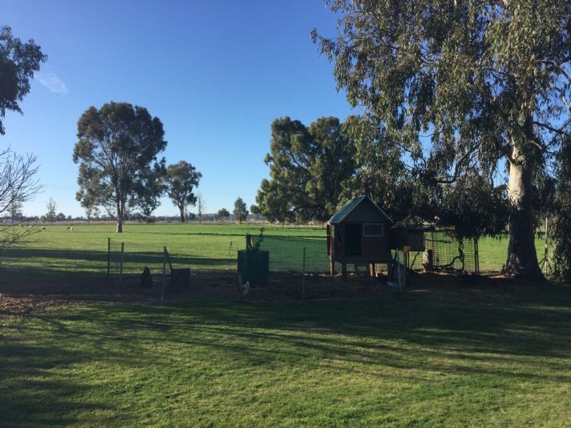 427 Barooga Road, Mulwala NSW 2647