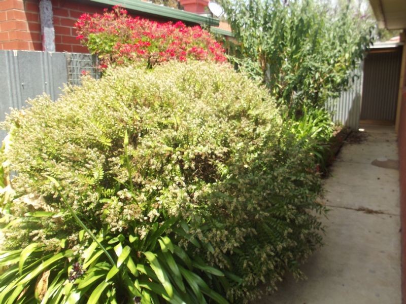 6/71 Orr Street, Yarrawonga VIC 3730