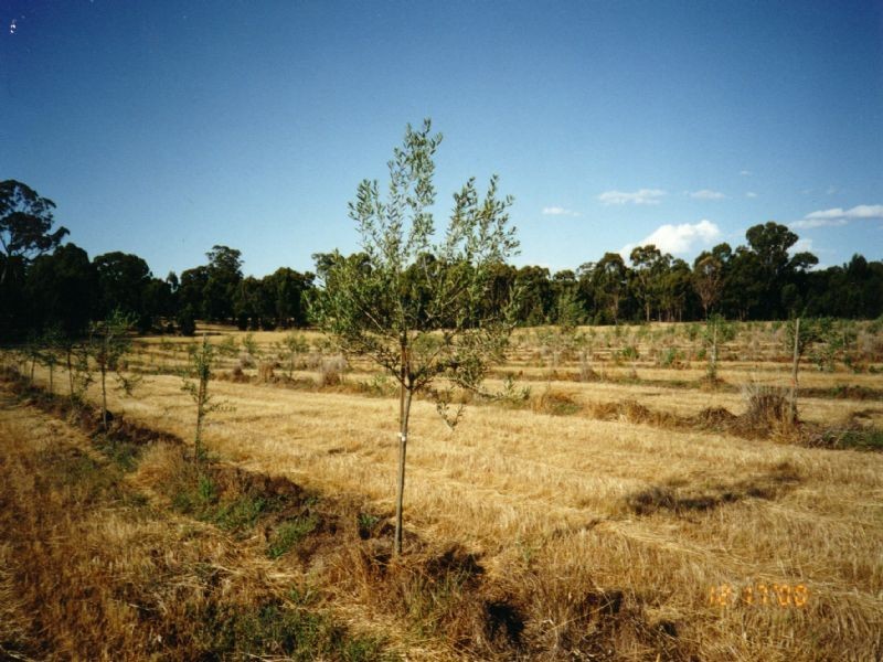 LOT 2 Sloans Road, Violet Town VIC 3669