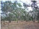 LOT 1 Old Hume Highway, Baddaginnie VIC 3670