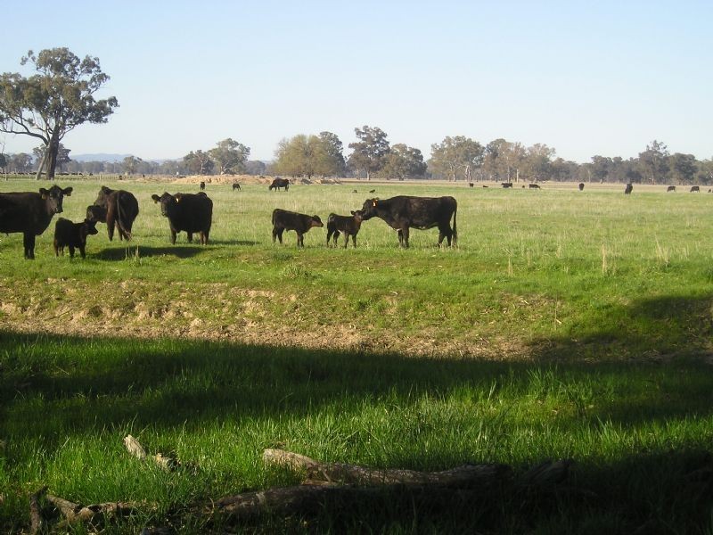 Lot 82 RIVER ROAD, Benalla VIC 3672