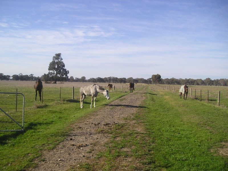 Lot 110 and 112A River Rd, Benalla VIC 3672