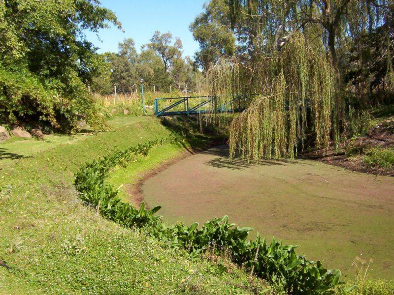 21 Maginness Street, Benalla VIC 3672