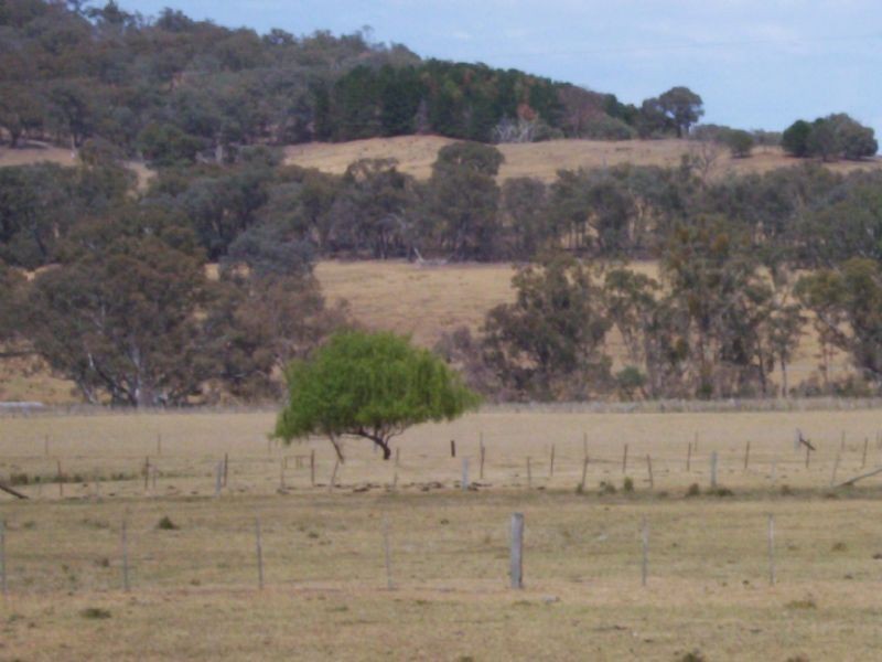 Lot 1 Tatong-Moorngag Road, Tatong VIC 3673