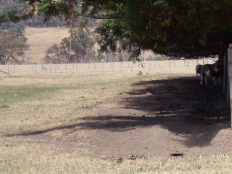 Lot 1 Tatong-Moorngag Road, Tatong VIC 3673