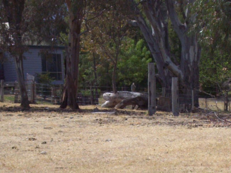 Lot 1 Tatong-Moorngag Road, Tatong VIC 3673