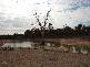 598 Baddaginnie – Goomalibee Rd., Benalla VIC 3672