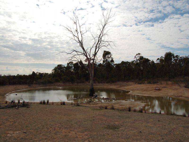 598 Baddaginnie – Goomalibee Rd., Benalla VIC 3672