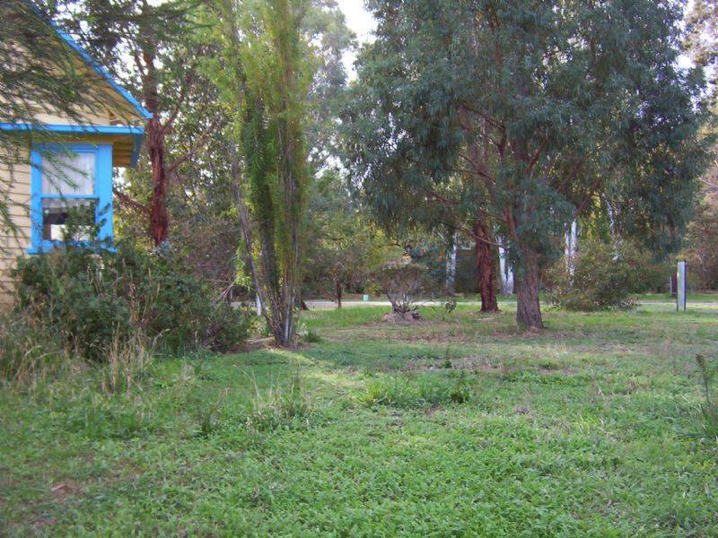 23 Crocus Street, Violet Town VIC 3669