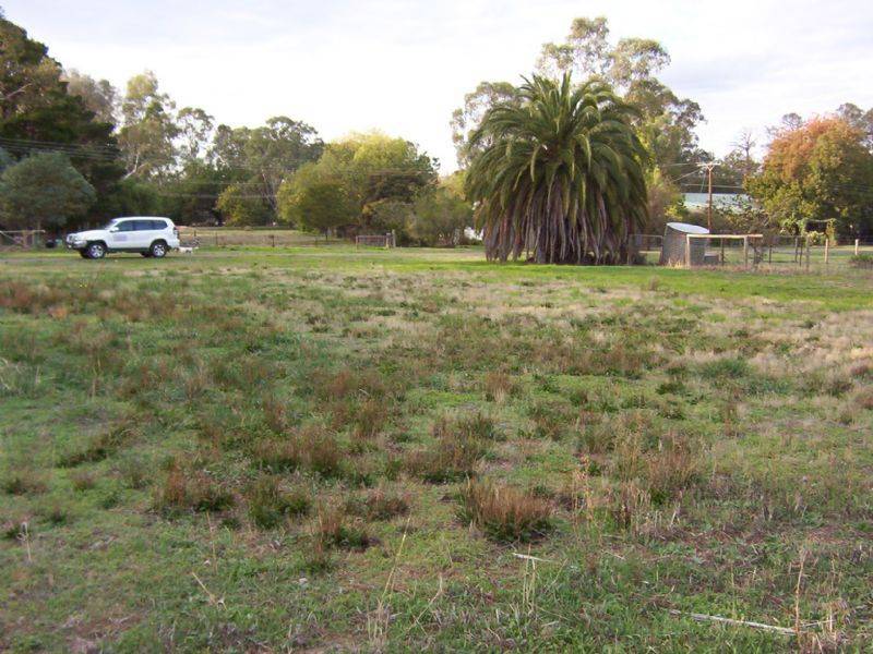 23 Crocus Street, Violet Town VIC 3669