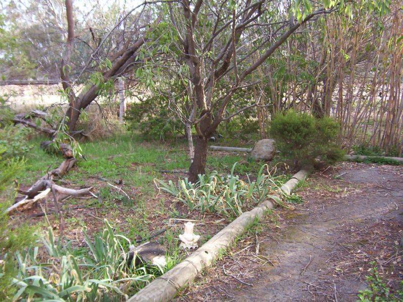 23 Crocus Street, Violet Town VIC 3669