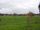 1868 Kilfeera Road, Tatong VIC 3673
