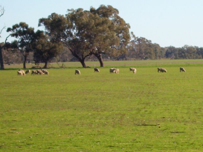 Lot 34 Neale Road, Goorambat VIC 3725